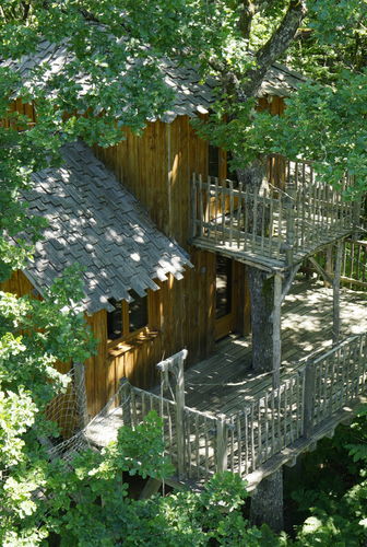 Tree house