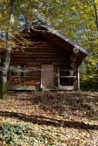Log chalet