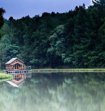 Cabane des marais